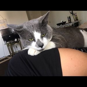 Meet your Posher, Christopher